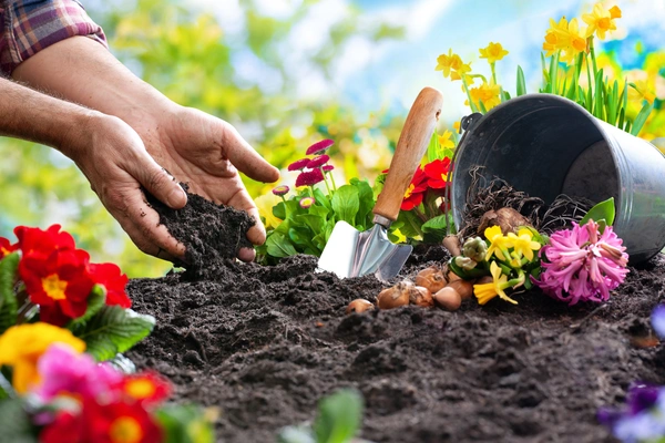 Quality Flower Bed Planting