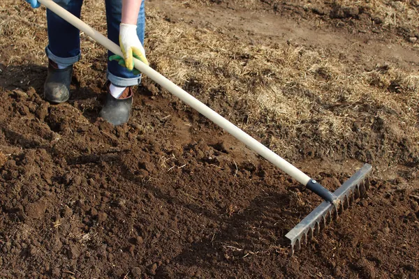Flower Bed Soil Preparation